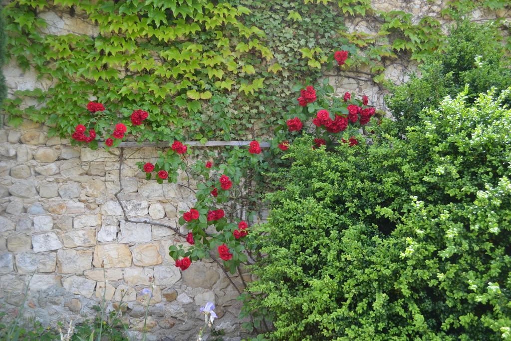 Maison D'Hotes Les Fougeres Mirmande Exteriér fotografie