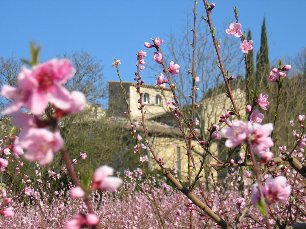 Maison D'Hotes Les Fougeres Mirmande Exteriér fotografie